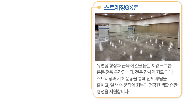스트레칭GX존 유연성 향상과 근육 이완을 돕는 저강도 그룹 운동 전용 공간입니다. 전문 강사의 지도 아래 스트레칭과 기초 운동을 통해 신체 부담을 줄이고, 일상 속 움직임 회복과 건강한 생활 습관 형성을 지원합니다.